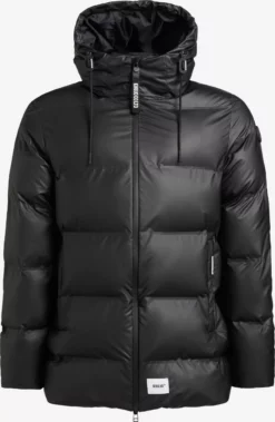 Khujo Talvitakki 'Nabor'