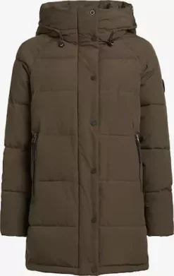 Khujo Talvitakki 'Dorasi'