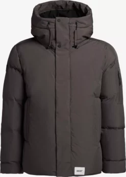 Khujo Talvitakki 'CANN'