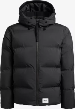 Khujo Talvitakki 'Rodney'