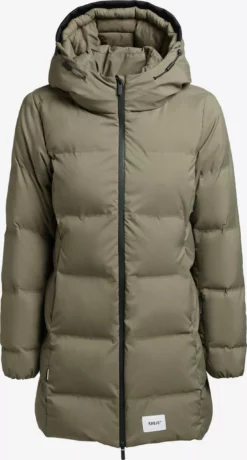 Khujo Talvitakki 'Tanare'