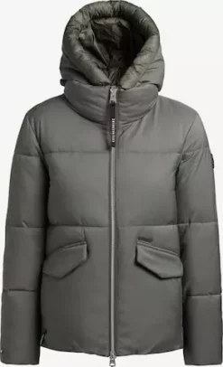 Khujo Talvitakki 'Japura 2'